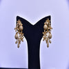 One Carat 3D Zarcoon Golden Earing